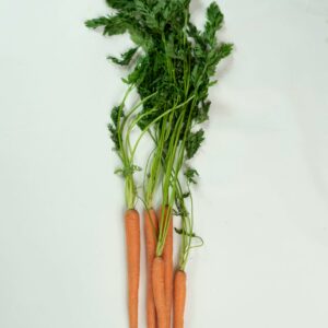 ein Bund Karotten